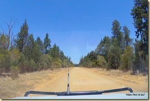 Driving Home from Weddin National Park